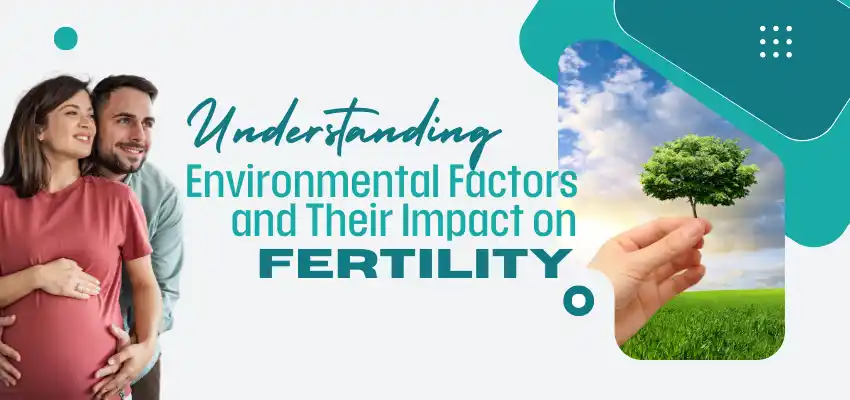 Understanding Environmental Factors and Their Impact on Fertility